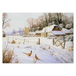 Winter Landscape