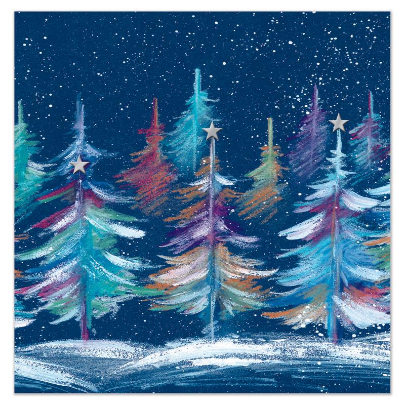 Winter Forest