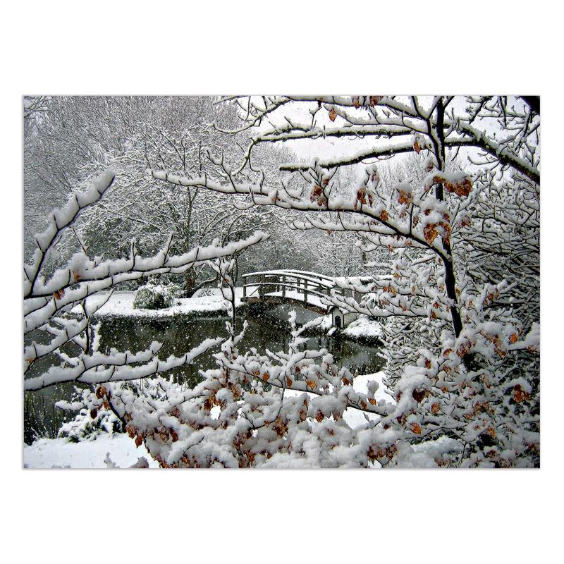 Winter Wonderland