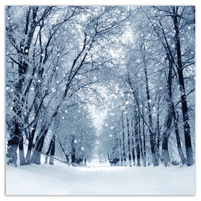 Winter Frost