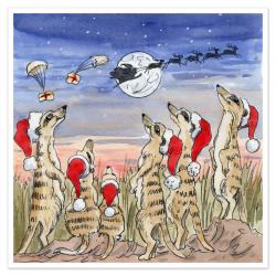 Meercat Christmas
