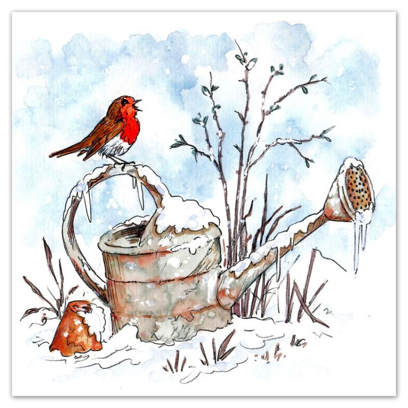 Robin on a Watering Can