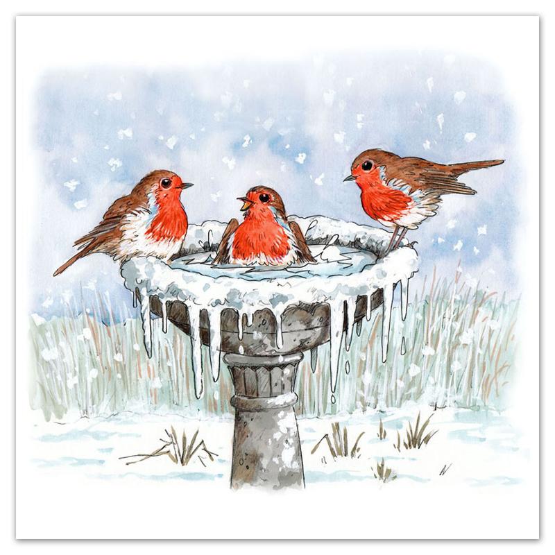 Bird Bath Robins