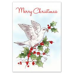 Dove with Holly
