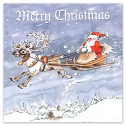 Flying Santa Sleigh