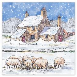 Woolly Winter Farm