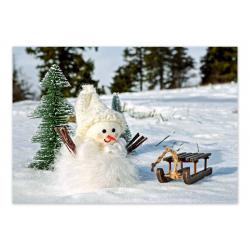 Little Snowman and Sledge