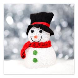 Little Snowman