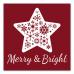 Merry & Bright Snowflake Star
