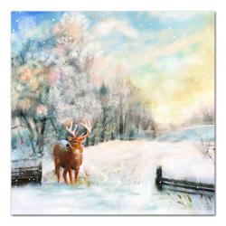Stag in the Snow