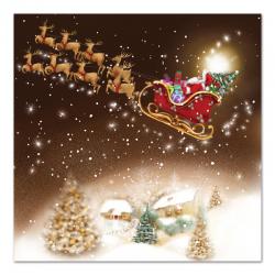 Santa in the Night Sky